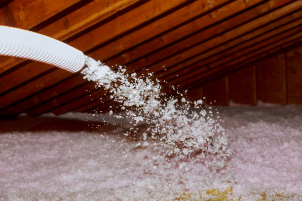 Best Insulation Removal  in Alva, FL