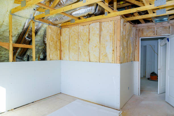 Best Insulation Inspection Services  in Alva, FL