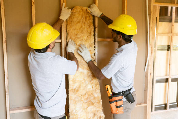 Insulation Contractors for Homes in Alva, FL