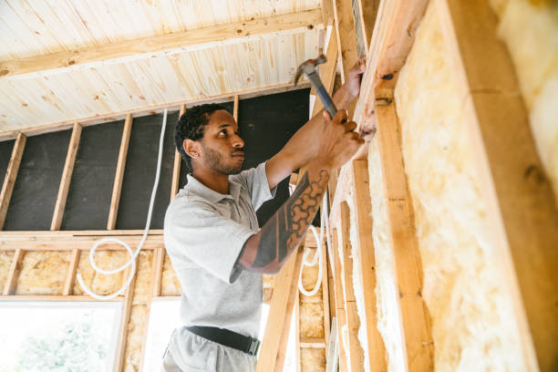 Best Best Insulation Companies  in Alva, FL